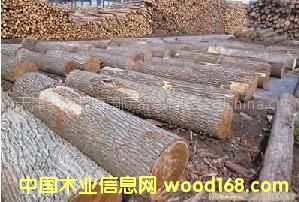 �������l������ԭľ