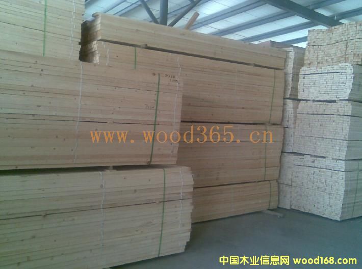 �l�ӵ�Ԕ����B