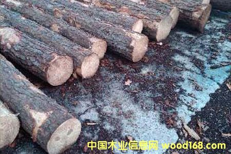 �S��ľԭ�ĵ�Ԕ����B