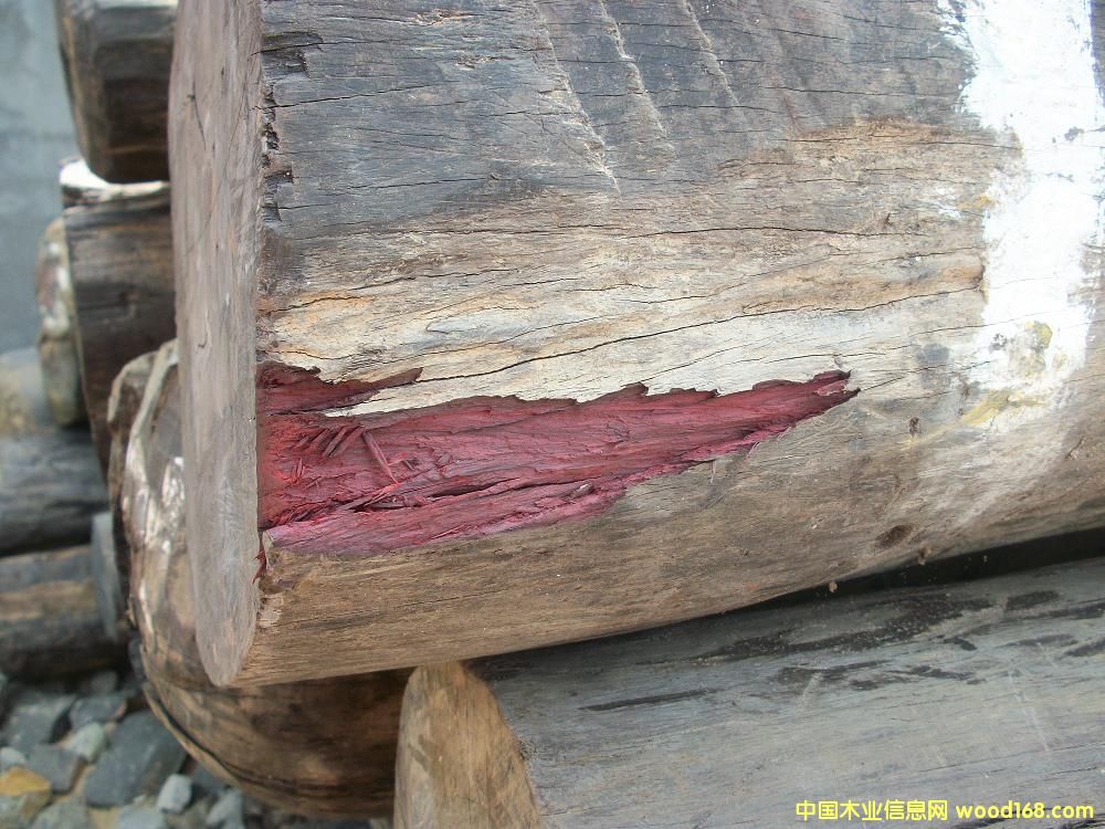 ���~��̴ Dalbergia Louvelii