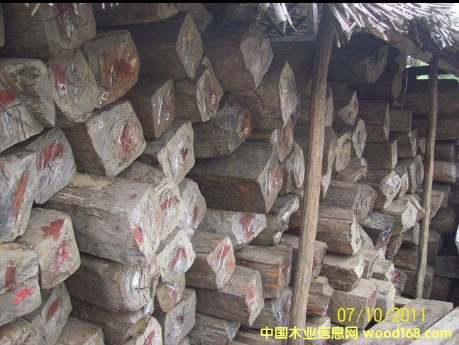 �R�_(d��)��˹���S̴������ɣ��������֦ ��Ԕ��(x��)��B