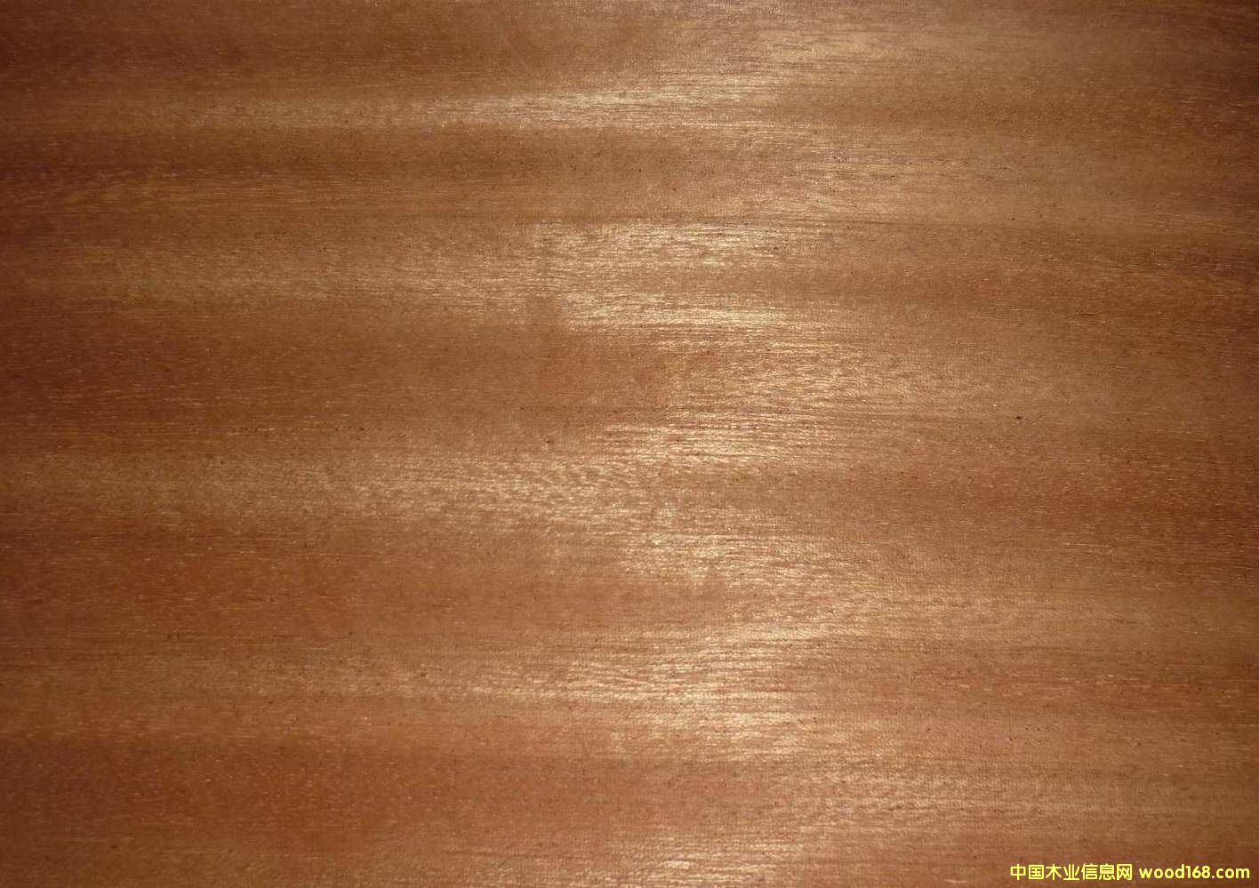 0.5�һ�оֱ�y��Ԕ��(x��)��B