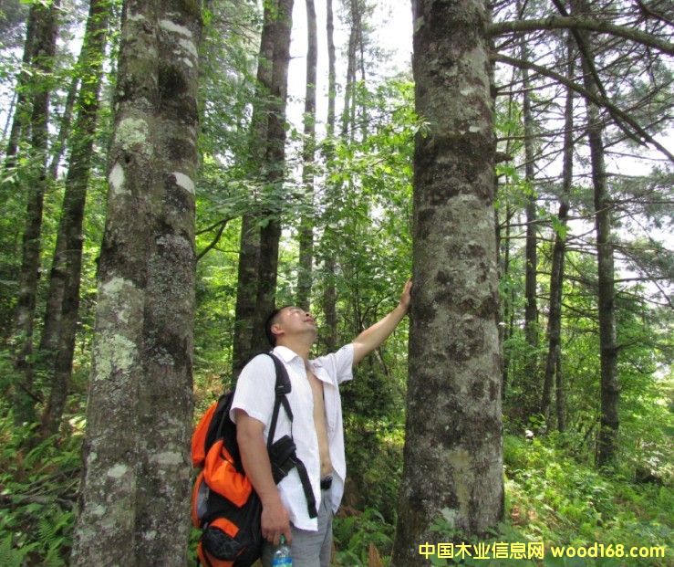 �Ĵ�ʡ�VԪ���ɘ���ˮ����11000�������D׌��Ԕ����B