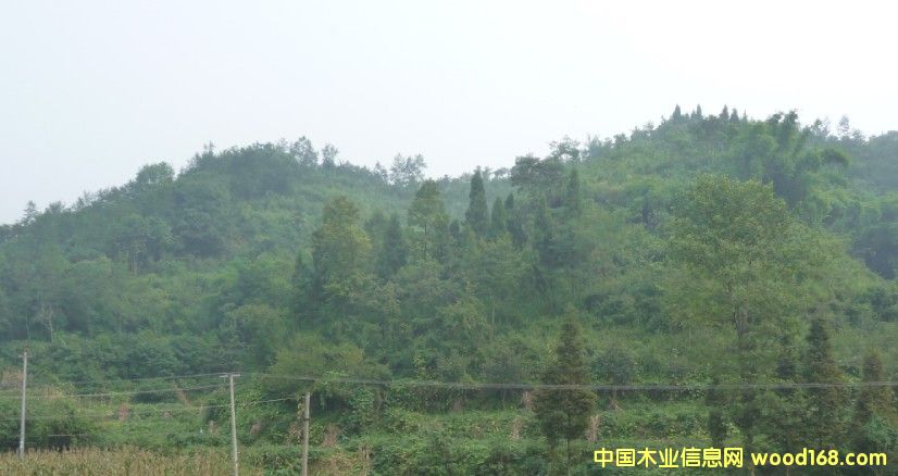 �Ĵ�ʡ�ɶ���߅3000�஀�ò��ֵ��D׌��Ԕ����B