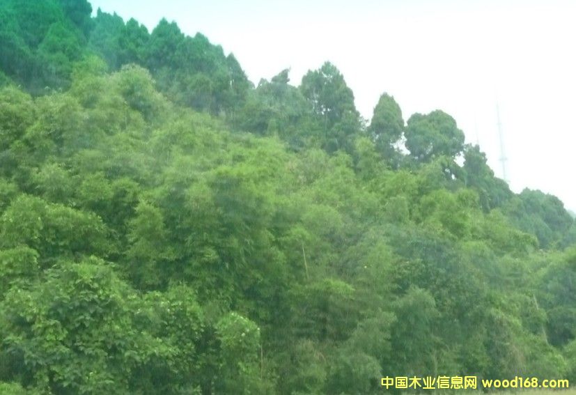 �Ĵ�ʡ�ɶ�2800�஀�ֵ��D׌��Ԕ����B