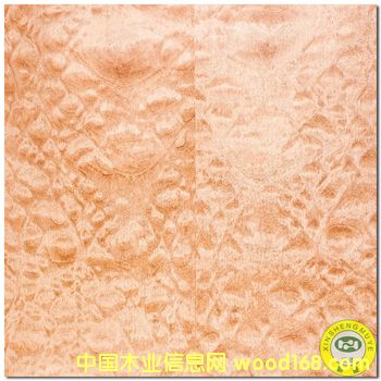 ��yɳ������Ԕ����B