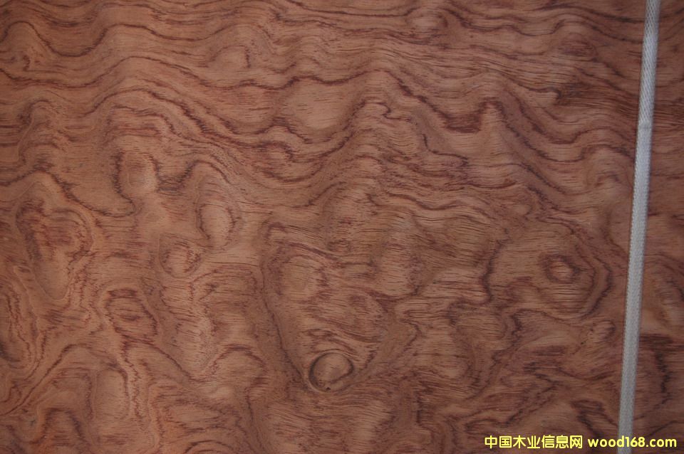 ����y��Ԕ����B