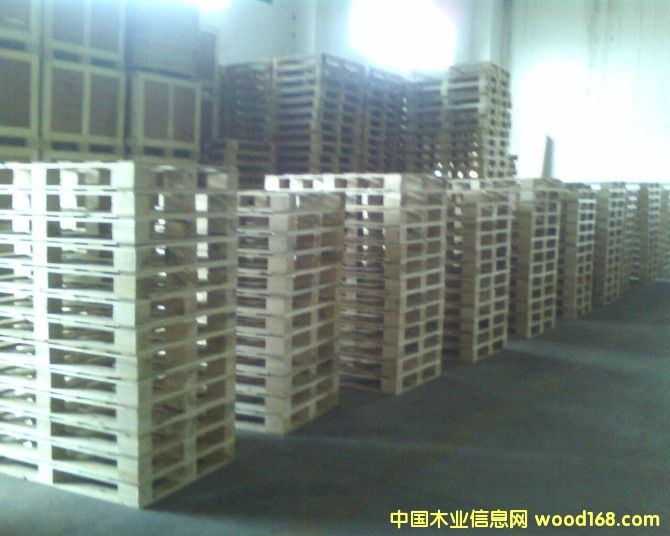 ��ľ/�z�ϰ�ľ�бP��Ԕ����B