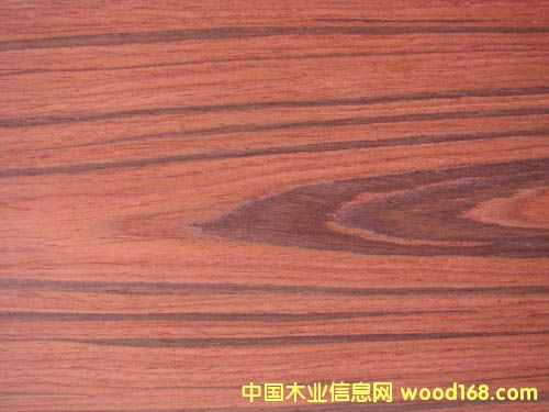 ������֦ 810C��Ԕ����B