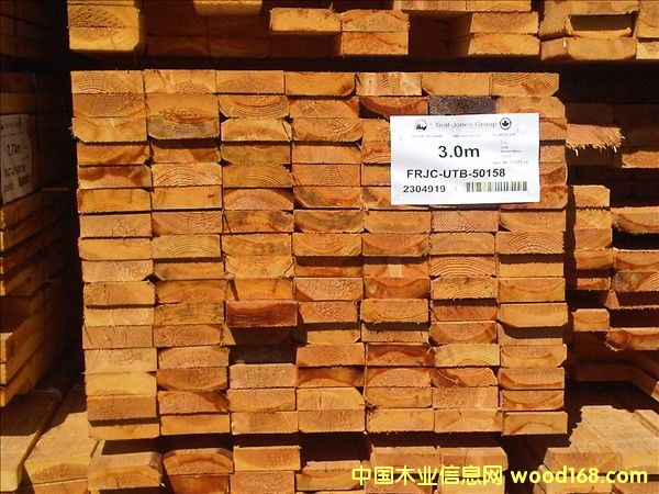 ������䏲ĵ�Ԕ����B