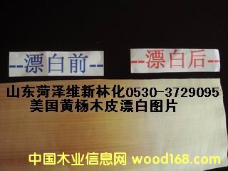 �S��ľƯ�׈DƬ