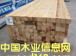 �Fɼ��Ԕ����B