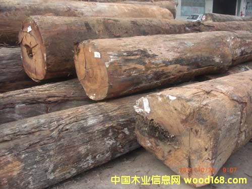 ��������(�\�~�Kľ)