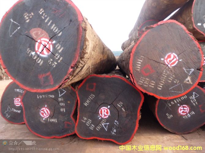 �t����ԭľ��Ԕ����B