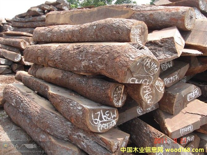 Ƥ�Ұ�ĵ�Ԕ����B