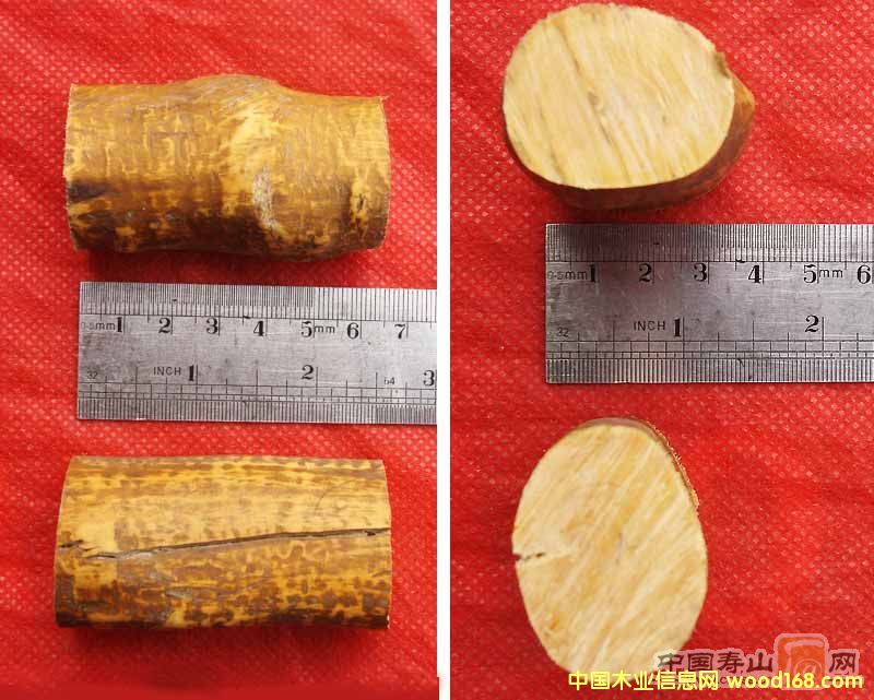 ���r��С�S���Ԕ����B