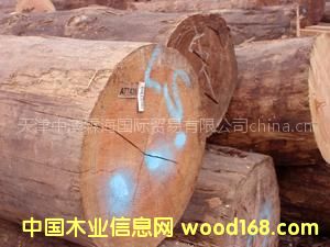 ����(y��ng)�S��ֱ�N�M(j��n)�ڴ�ֱ������ԭľ