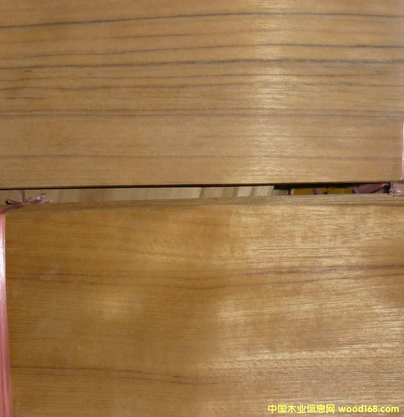 ̩�֟o������Ԕ��(x��)��B