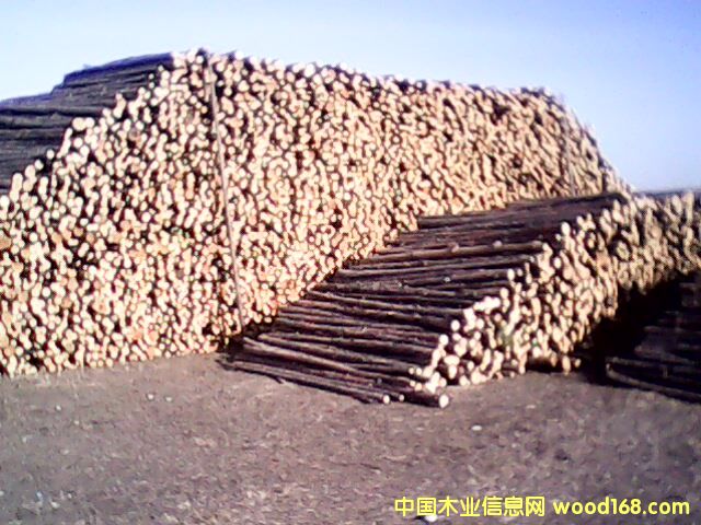 �c���鿴���~�ɷŴ�DƬ