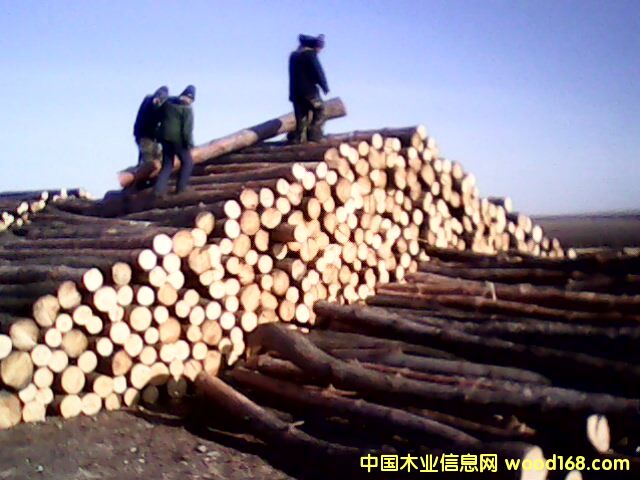 �c���鿴���~�ɷŴ�DƬ