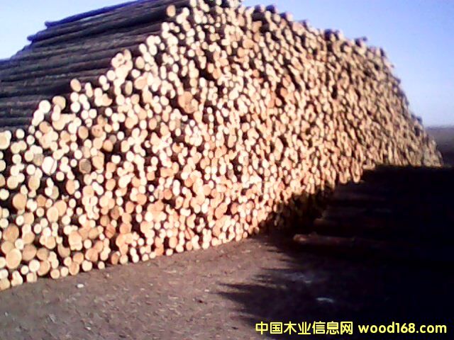 �c���鿴���~�Ŵ�DƬ