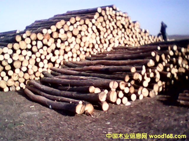 �c���鿴���~�ɷŴ�DƬ