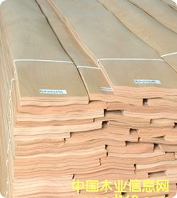 ��ľľƤ��Ԕ����B