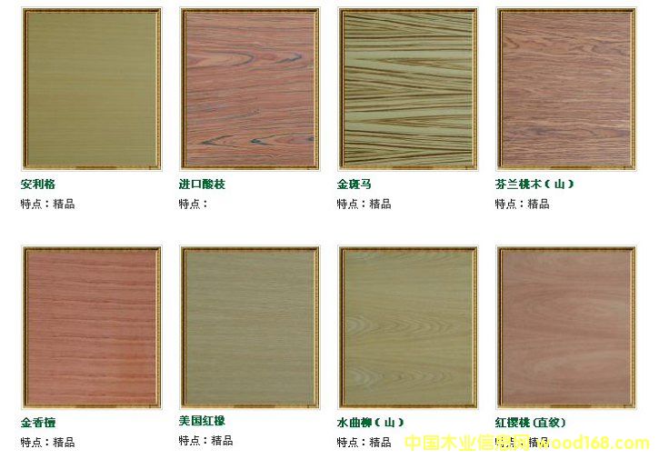 ���ѩ���b����