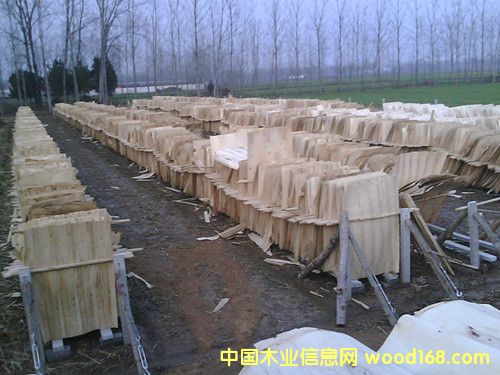 ��Ƥ��Ԕ����B