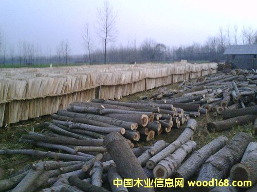 ��Ƥ��Ԕ����B