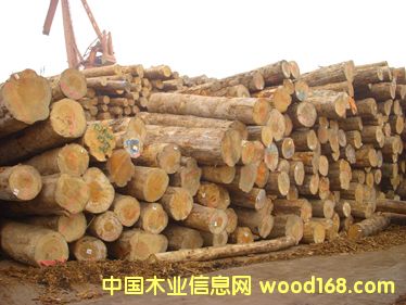 ����ԭľ��Ԕ��(x��)��B