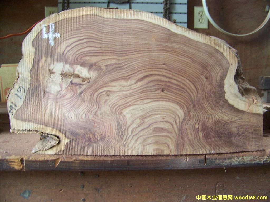 �����S̴ ��Ԕ����B