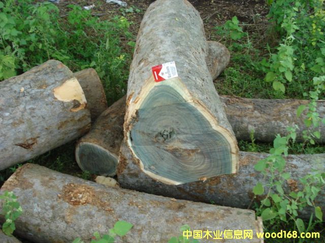 �G̴��Ԕ����B