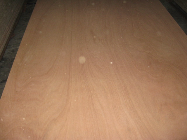 �sľ�z�ϰ��Ԕ����B