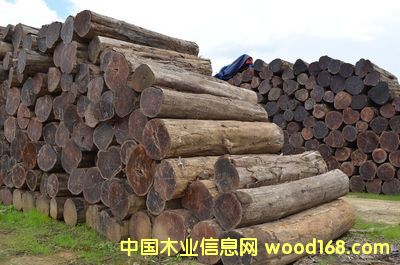 ������ľ��Ԕ��(x��)��B