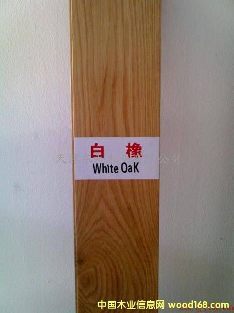 �c���鿴����ľ��ķŴ�DƬ