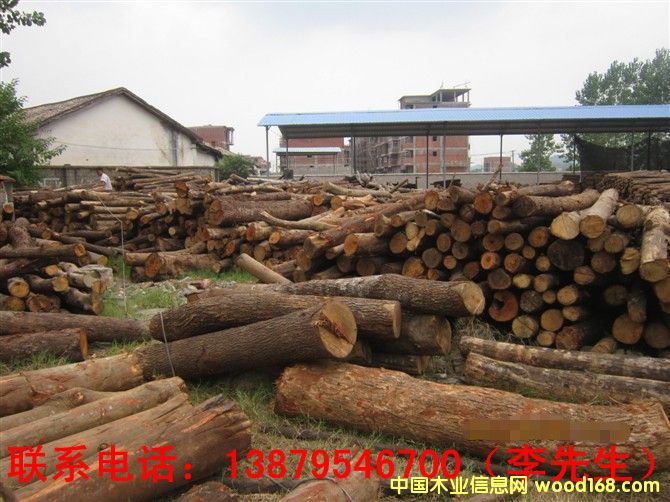 �sľ��Ԕ����B