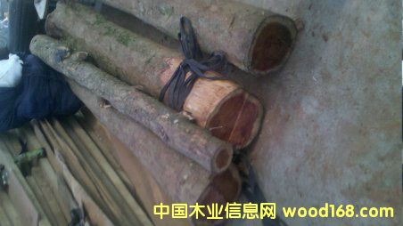 �t��ɼ��Ԕ����B