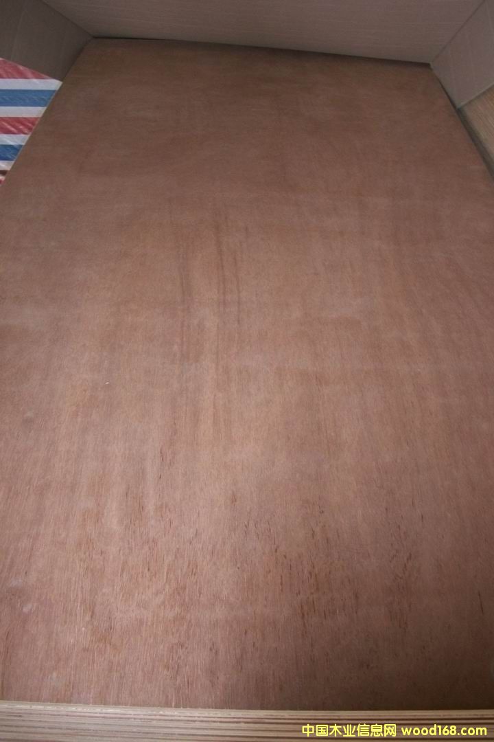 ��¡��Ƥ�z�ϰ��Ԕ����B