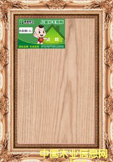 ���ѩ���ؼ���� ˮ������Ԕ����B