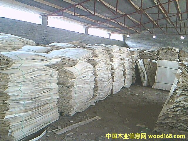 ����Ԕ����B