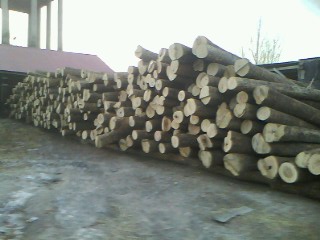 �ľ���вĵ�Ԕ��(x��)��B