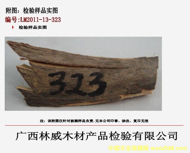 �z򞌍�D��Ԕ����B