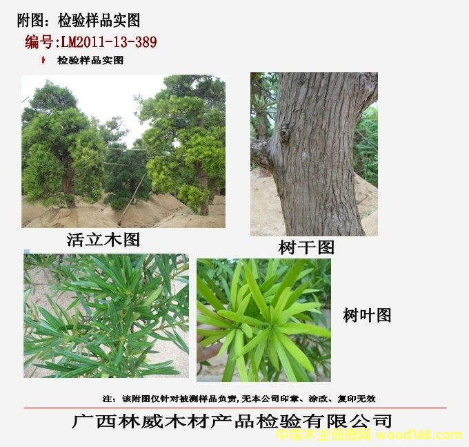 �z򞌍�D��Ԕ����B