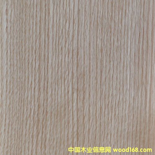 �t��ľƤ��Ԕ����B