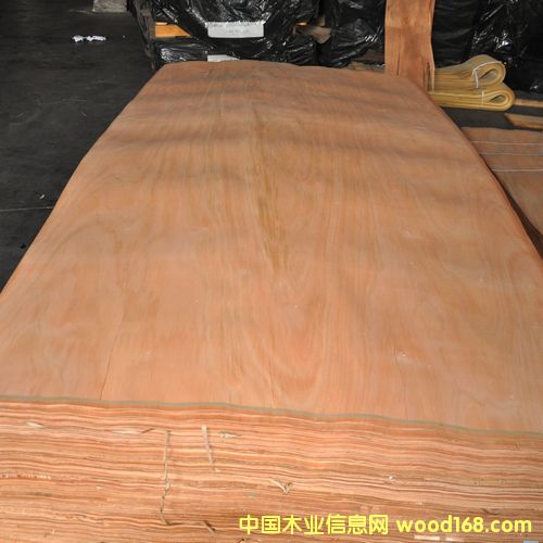 �W��������ľƤ��Ԕ����B