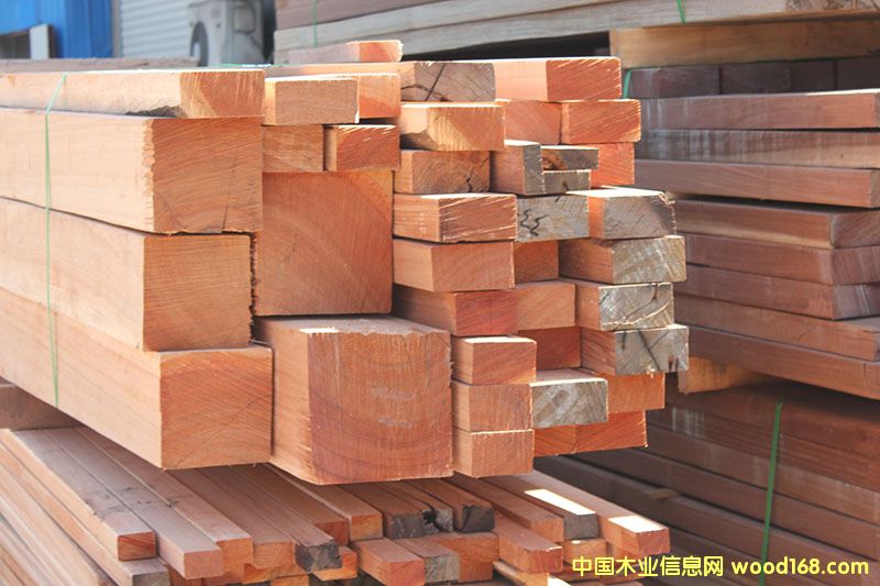 ����ľ��Ԕ����B