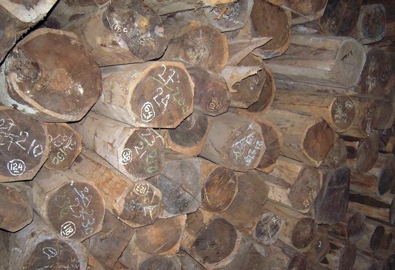 ��~�S̴��Ԕ����B