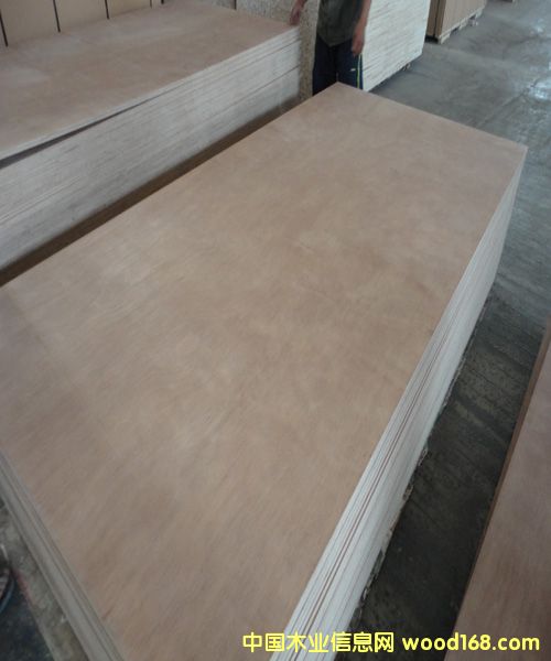 Ⱥ�����Ӱ�12mm��Ԕ��(x��)��B