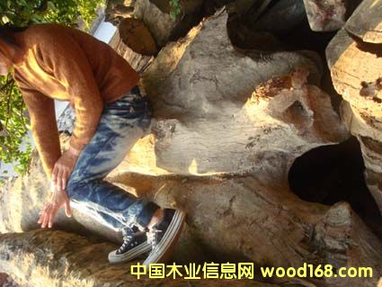 ꎳ���z�ľ��Ԕ����B